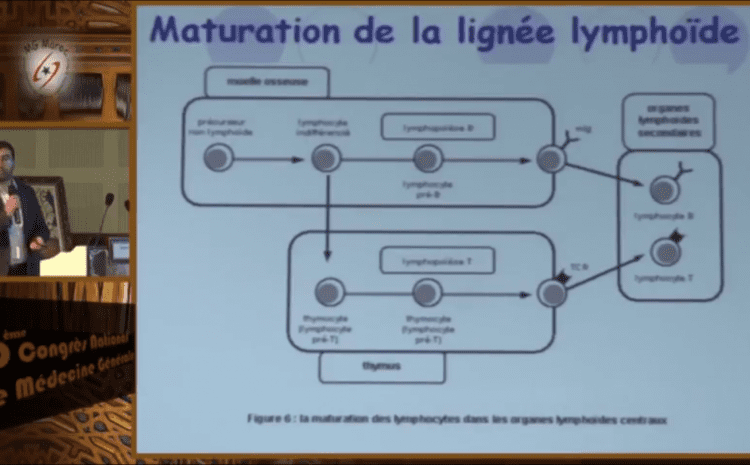 Plénière 19 : Quoi de neuf dans les lymphomes B à grandes cellules.
